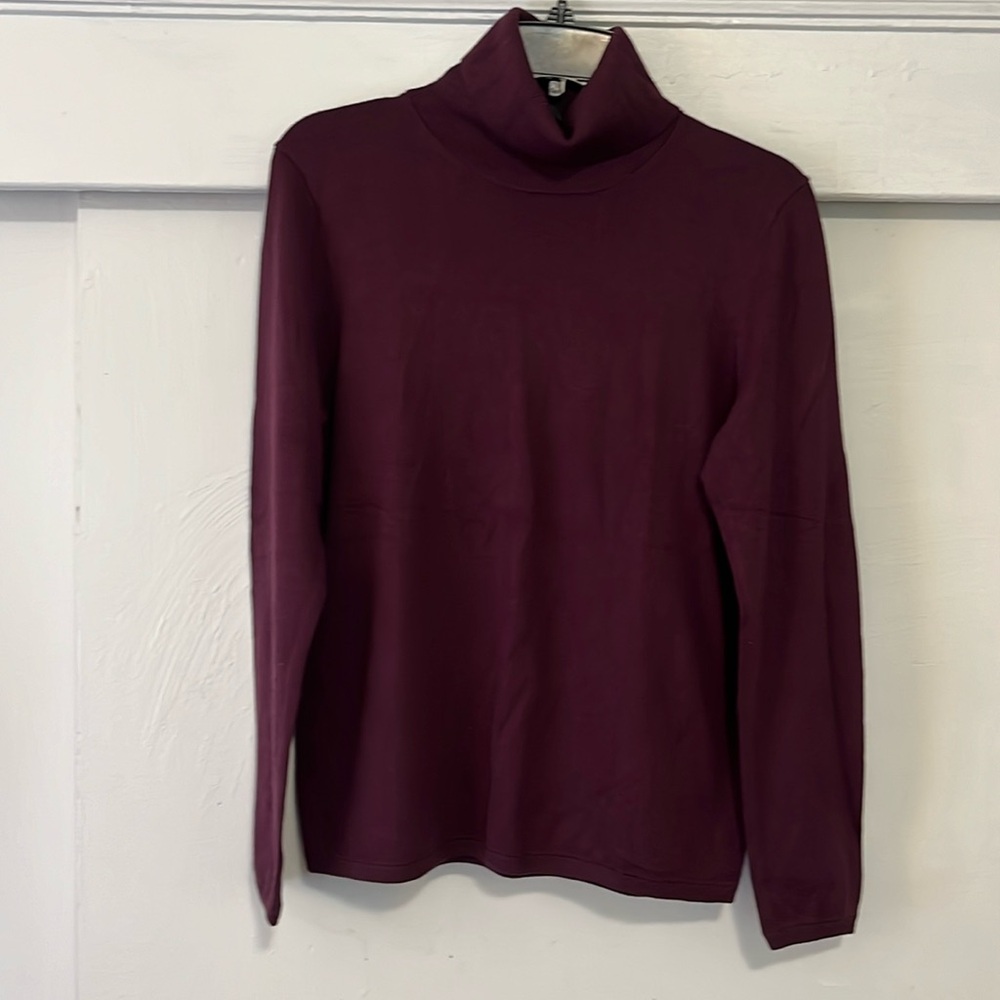 Ann Taylor Plum Long Sleeve Knit Turtleneck